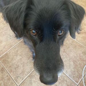 Meet your Posher, Posh